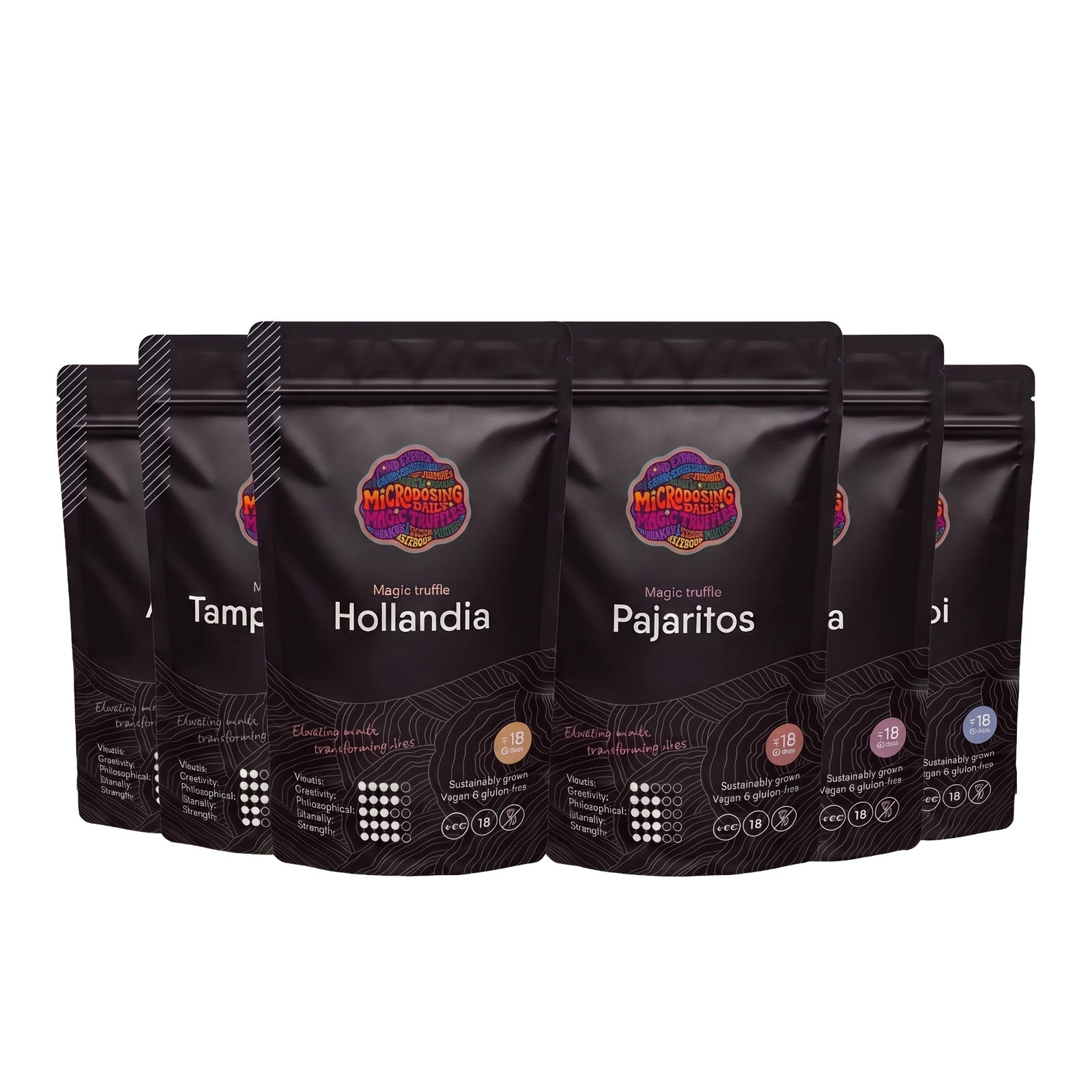 The Truffle Discovery Bundle